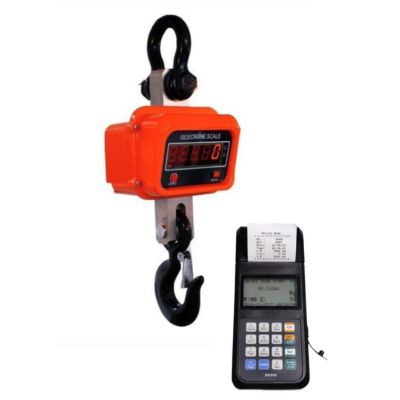Crane Scale